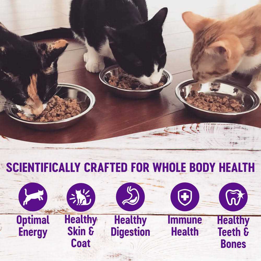 Grain Free Wet Cat Food X5756