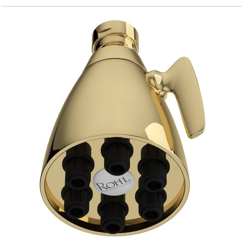 Adjustable Shower Head Unlacquered Brass A4492