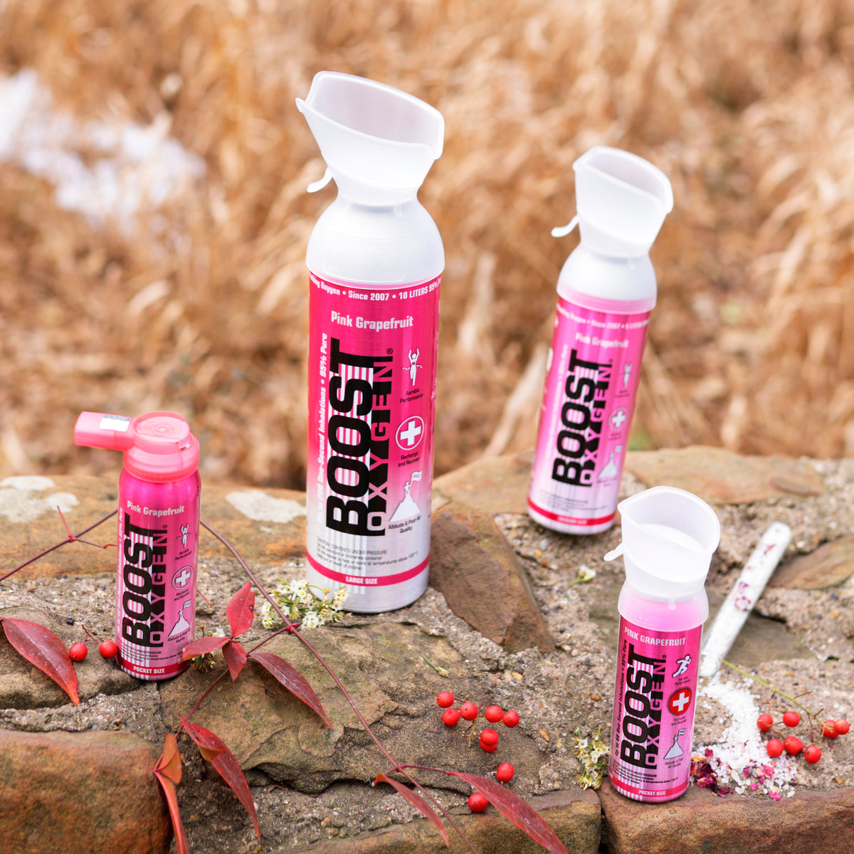 Pink Grapefruit 5 Liter Pure Oxygen Canister (6 Pack) M660299