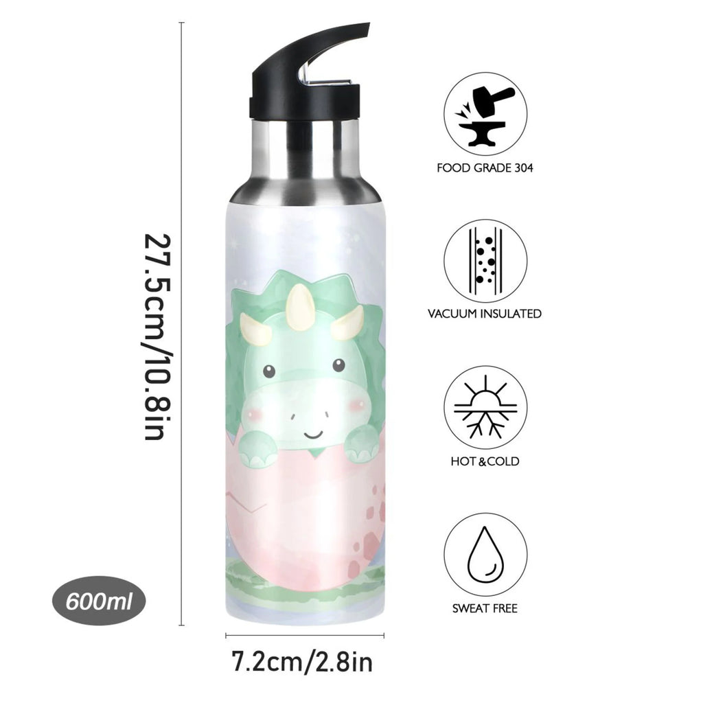 Stainless Steel Insulated Water Bottle with Straw Lid L689497