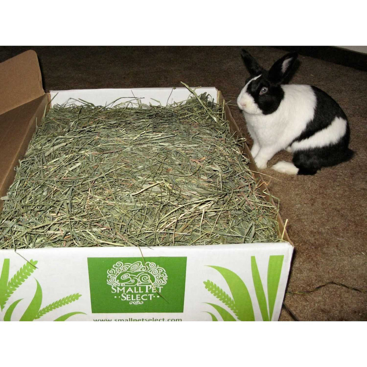 Timothy Hay Pet Food B881