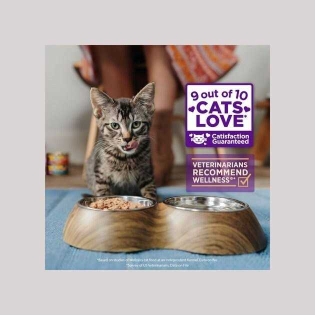 Grain Free Wet Cat Food X5756