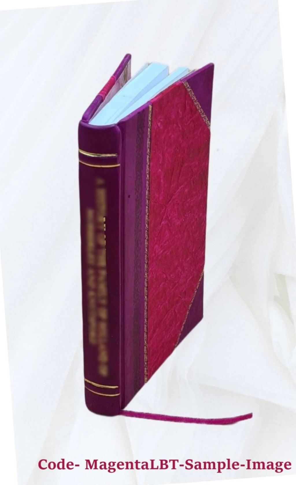 Notice des tableaux, sculptures et autres objets d'art X294995