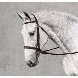 Fancy Wide Show Bridle with Raised Laced Reins J38149