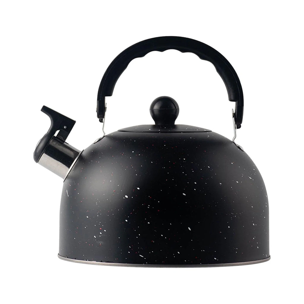 2.5L Stainless Steel Whistling Tea Kettle V5404