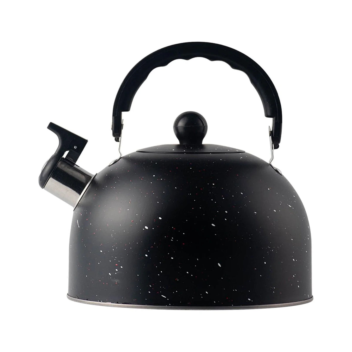 2.5L Stainless Steel Whistling Tea Kettle V5404