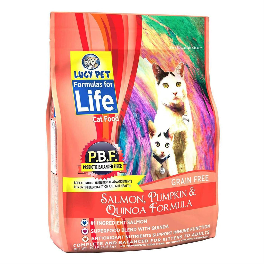 Dry Cat Food Salmon I1571