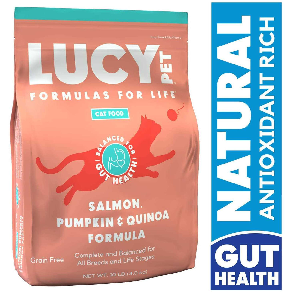 Dry Cat Food Salmon I1571