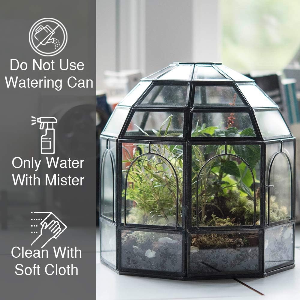 Large Glass Terrarium M240181