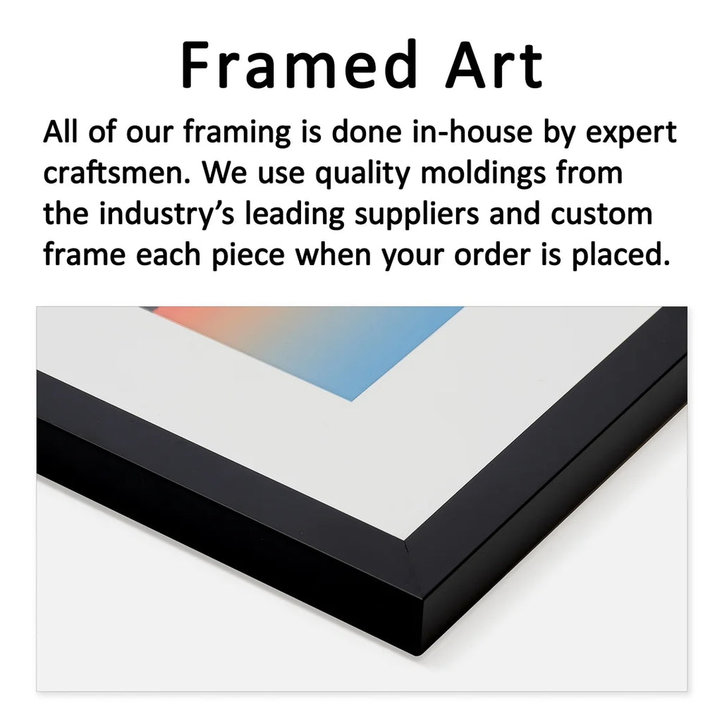 Framed Print O9009