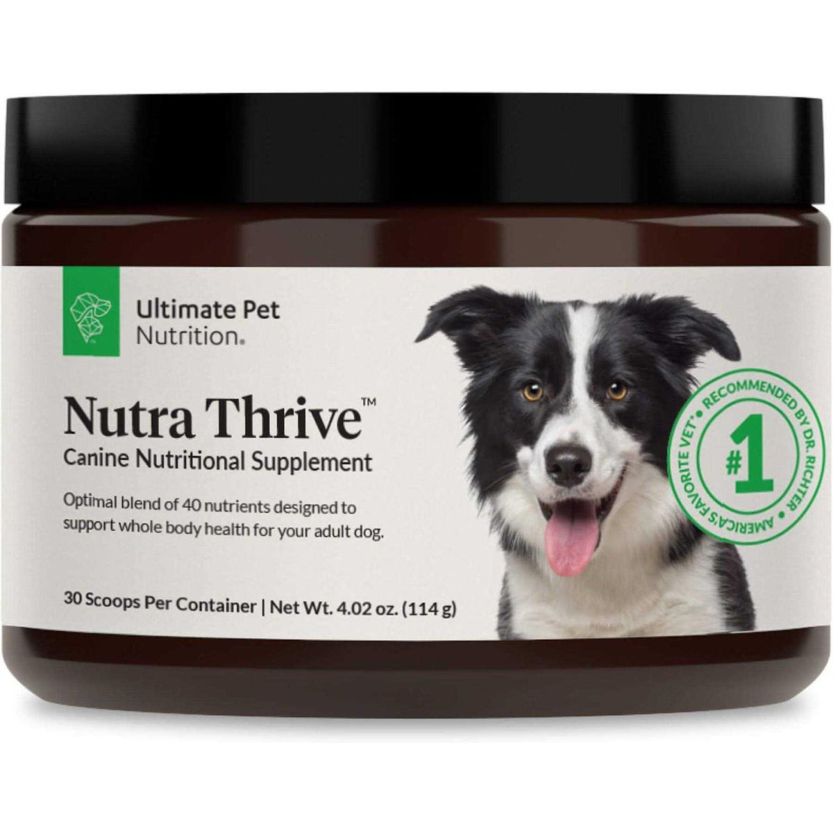 Multivitamin Powder Supplement for Dogs L273516