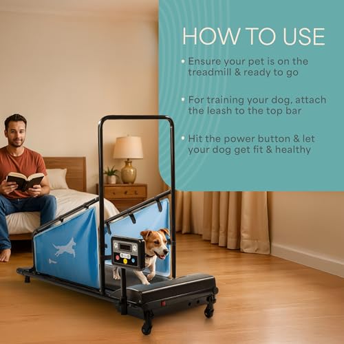 Dog Treadmill for Small & Medium Dogs up to 130lbs I68760