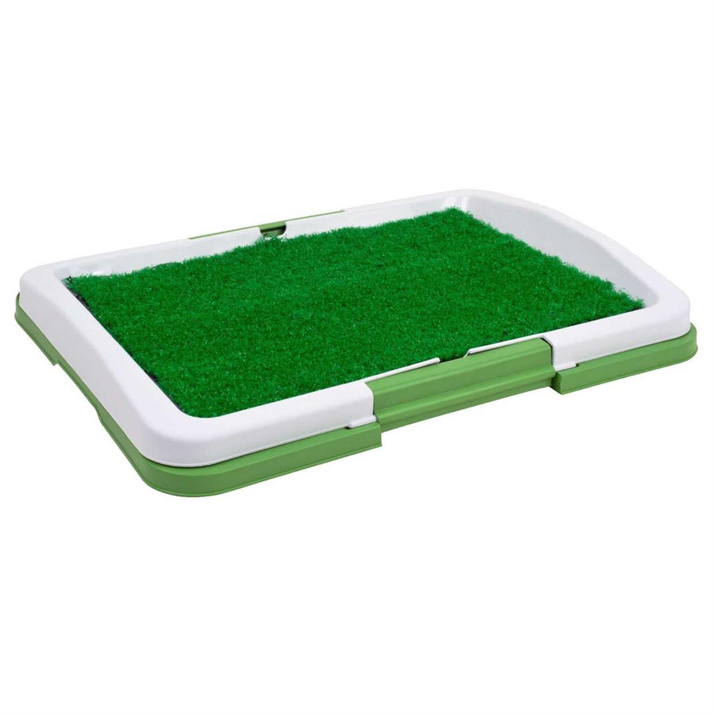 Potty Trainer A660431