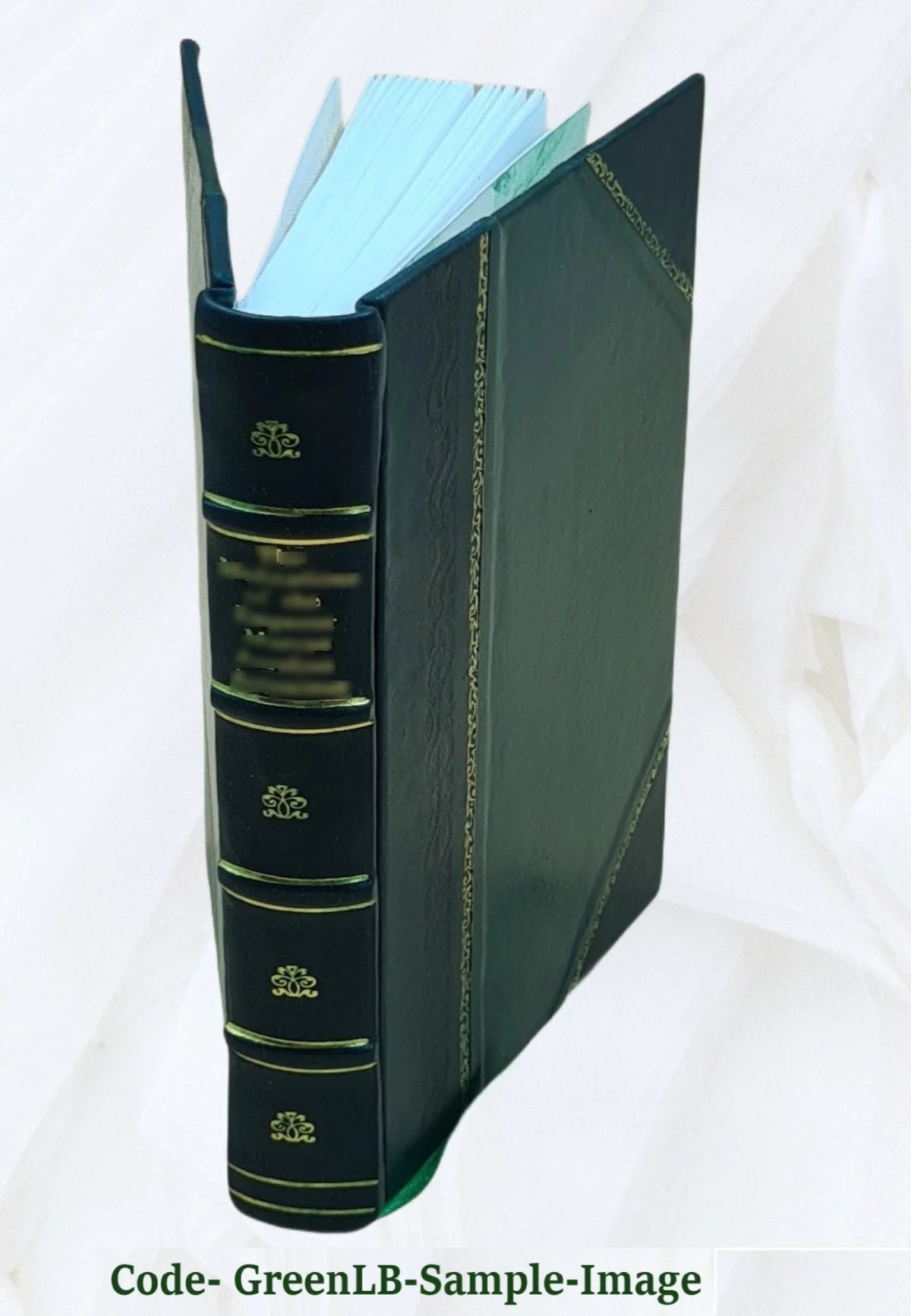 British Popular Customs Present and Past Leather Bound M10114