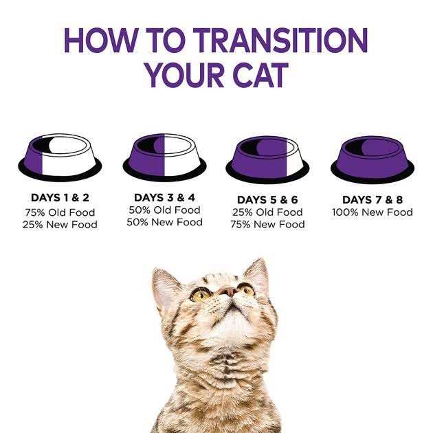 Grain Free Wet Cat Food X5756