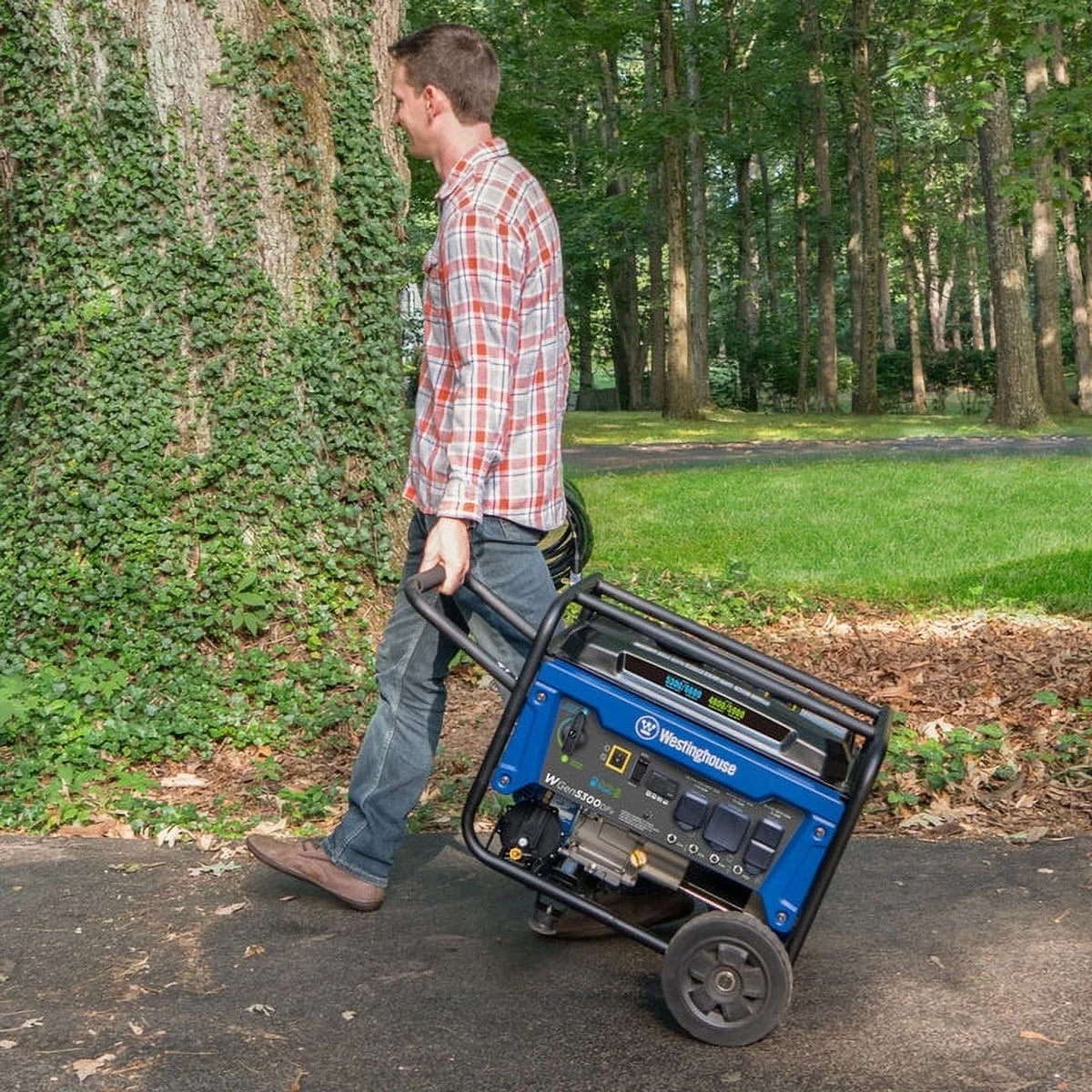 Portable Dual Fuel Generator C26340