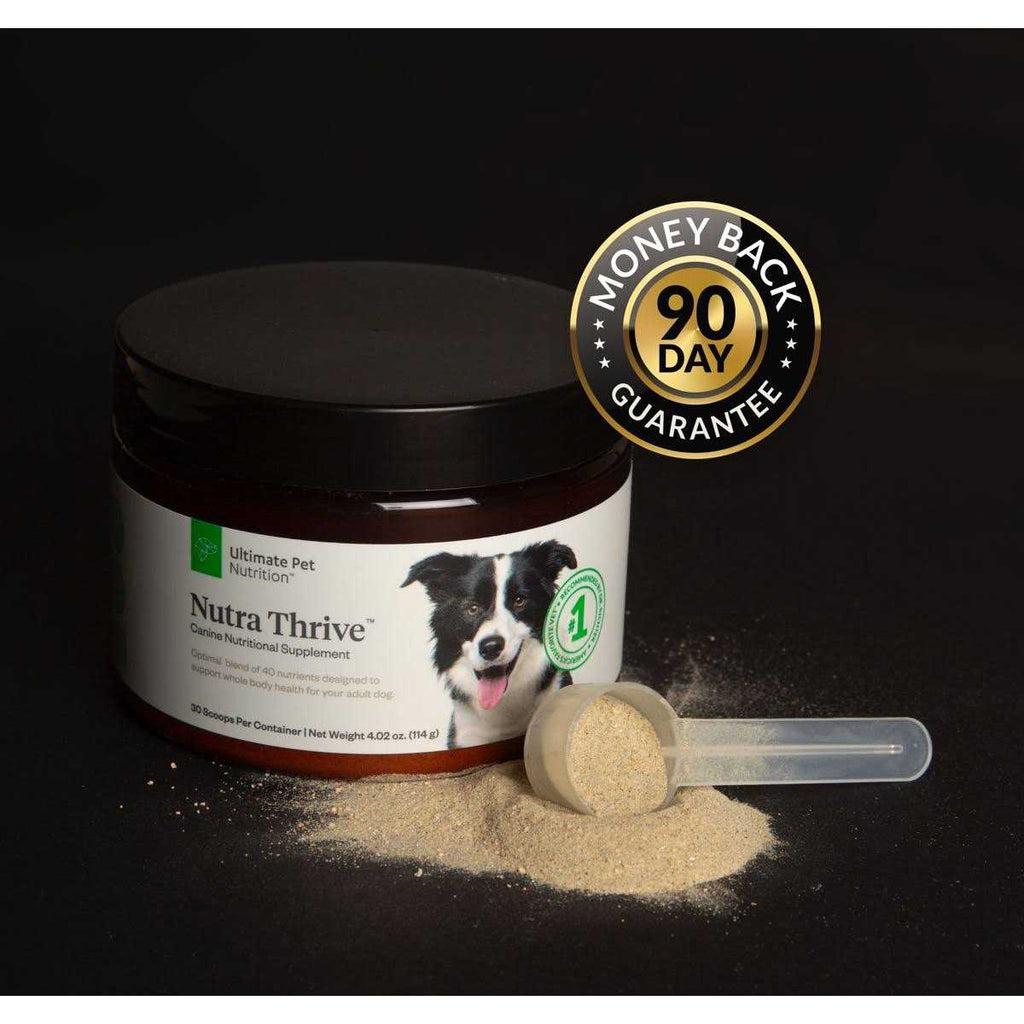 Multivitamin Powder Supplement for Dogs L273516